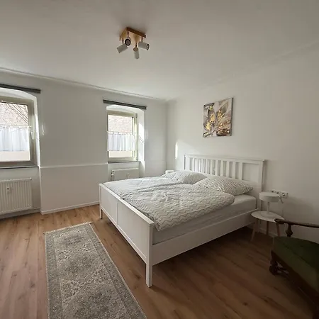 Rebennest In Historischen Gebaeude Aus 1840 *